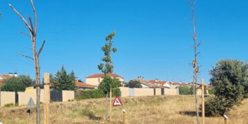 El PP de Carrascal de Barregas denuncia la falta de trabajo y la inactividad del actual equipo de Gobierno