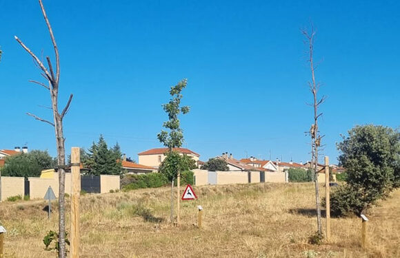 El PP de Carrascal de Barregas denuncia la falta de trabajo y la inactividad del actual equipo de Gobierno