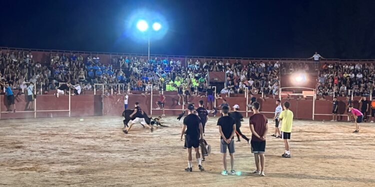 El público llena la plaza en la primera capea nocturna de las fiestas