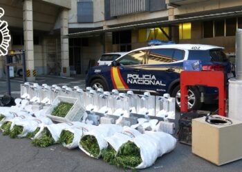 Detenido un varón en la plantación de marihuana que tenía en una nave del polígono de Peñasolana