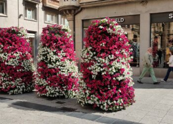 El Concurso de Fotografía LIFE Vía de la Plata repartirá 4.400 euros en premios