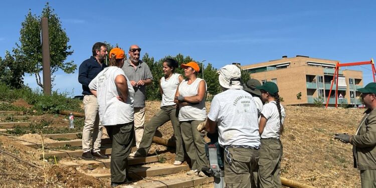 Los alumnos de la AFE acondicionan las zonas verdes del paseo Francisco Bernis