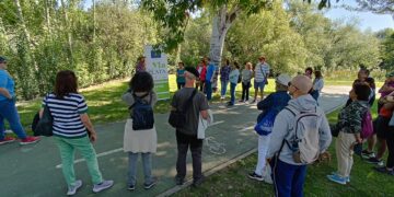El ‘Recorrido por los árboles singulares’ principal atractivo de los paseos para mostrar los valores medioambientales de Salamanca