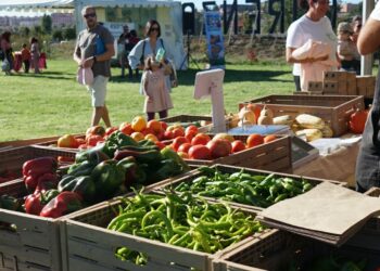 Formación, talleres, animación y alimentos ecológicos de máxima calidad