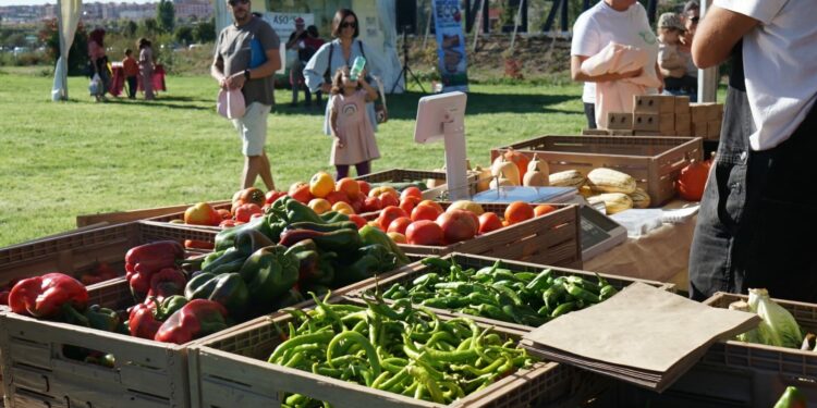 Formación, talleres, animación y alimentos ecológicos de máxima calidad