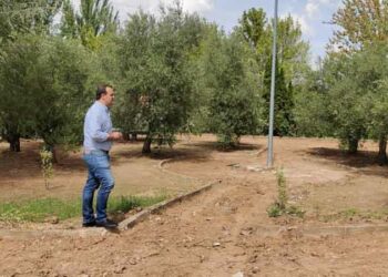 El Ayuntamiento renueva el parque de Los Olivos de la urbanización Valdelagua con una inversión de 25.600 euros