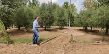 El Ayuntamiento renueva el parque de Los Olivos de la urbanización Valdelagua con una inversión de 25.600 euros