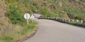 La Universidad de Salamanca controlará la señalización que busca evitar accidentes con la fauna silvestre