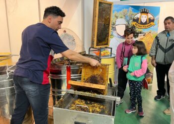 Aldeatejada pondrá en valor la calidad de la miel artesana el 4 de noviembre