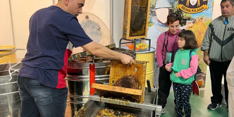 Aldeatejada pondrá en valor la calidad de la miel artesana el 4 de noviembre