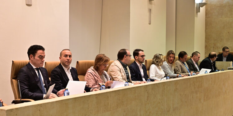 El Ayuntamiento de Salamanca aprueba las ordenanzas fiscales que congelan los impuestos municipales por décimo año