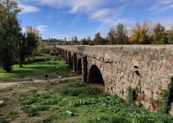 Salamanca cierra parques y zonas arboladas por el fuerte viento