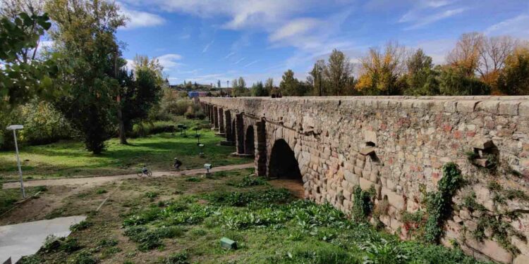 Salamanca cierra parques y zonas arboladas por el fuerte viento