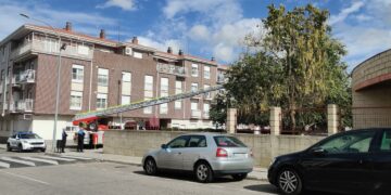 El Ayuntamiento cierra la Isla del Soto por las fuertes rachas de viento y para evitar el peligro por la caída de ramas