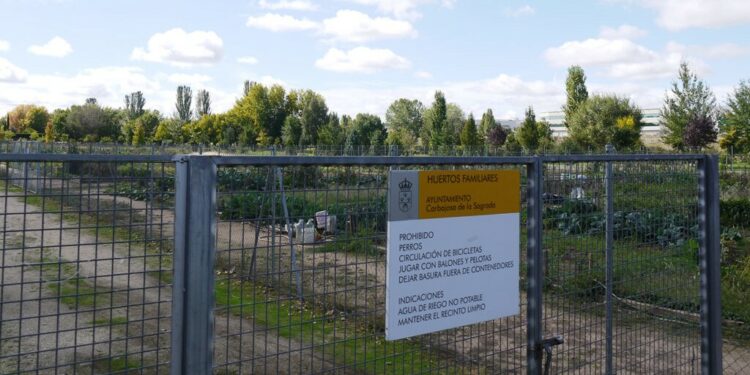 Los vecinos de Carbajosa pueden solicitar uno de los 130 huertos familiares hasta el día 20