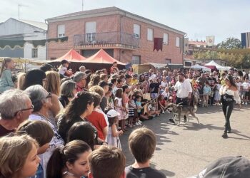 La exhibición de animales medievales atrae la atención de numeroso público en el Mercado Medieval de Castellanos