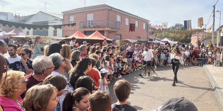 La exhibición de animales medievales atrae la atención de numeroso público en el Mercado Medieval de Castellanos