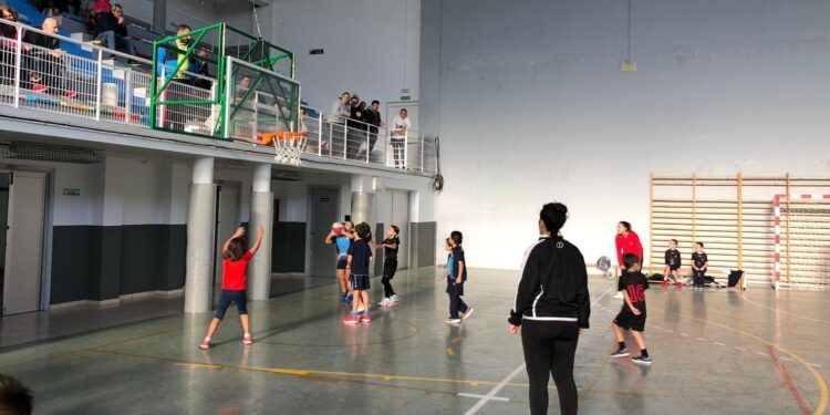 Más de 200 jugadores se darán cita el sábado en Santa Marta para participar en el IX Pequebasket