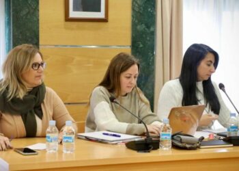 Dimite la número dos del PSOE de Carbajosa, Patricia Sánchez Holgado