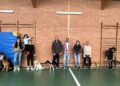 Carbajosa pone en marcha talleres de adiestramiento canino para mejorar la conducta de los perros y la convivencia ciudadana