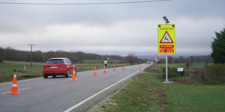 La Junta y la USAL desarrollan un sistema para el aviso de presencia de fauna en las carreteras que disminuye el número de accidentes