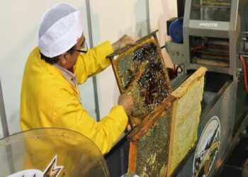 La XI Feria de la Miel de Aldeatejada llega cargada de premios para canjear en los 43 expositores