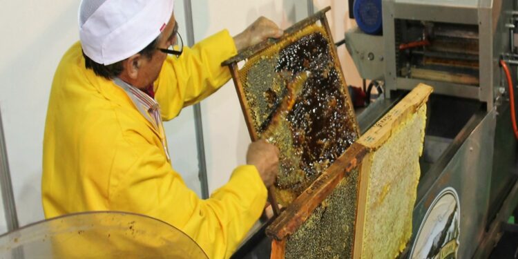 La XI Feria de la Miel de Aldeatejada llega cargada de premios para canjear en los 43 expositores