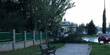 La borrasca ‘Ciarán’ deja lluvias, fuertes vientos y  decenas de árboles partidos y arrancados