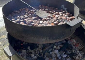 La Fiesta de la Castaña llegará a Santa Marta el próximo domingo 26 de noviembre