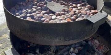 La Fiesta de la Castaña llegará a Santa Marta el próximo domingo 26 de noviembre