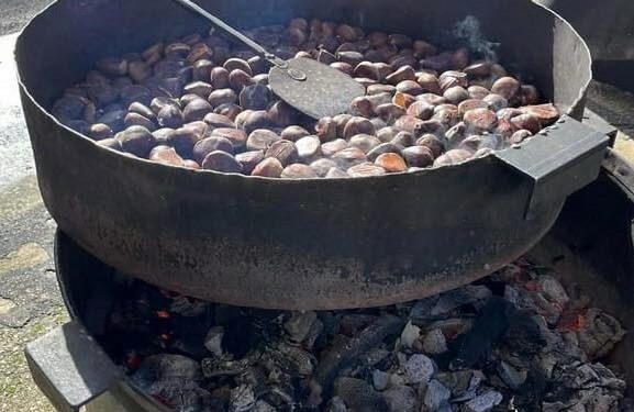 La Fiesta de la Castaña llegará a Santa Marta el próximo domingo 26 de noviembre