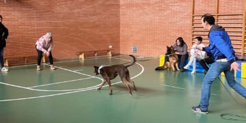 Nuevo taller de adiestramiento canino en Carbajosa para aprender a llamar a los perros