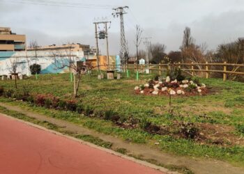 Los alumnos de la AFE de Horticultura y Jardinería transforman la imagen del Paseo Francisco Bernis