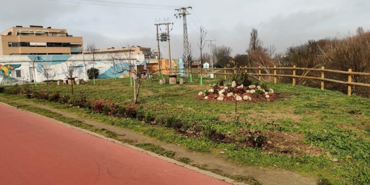 Los alumnos de la AFE de Horticultura y Jardinería transforman la imagen del Paseo Francisco Bernis