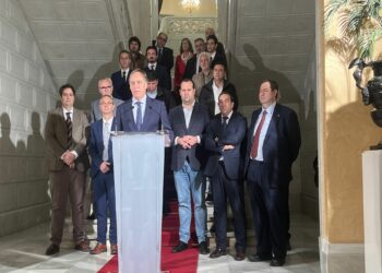 Salamanca saldrá a la calle el 21 de enero para exigir al Gobierno la mejora de las conexiones ferroviarias con más frecuencias del tren rápido a Madrid