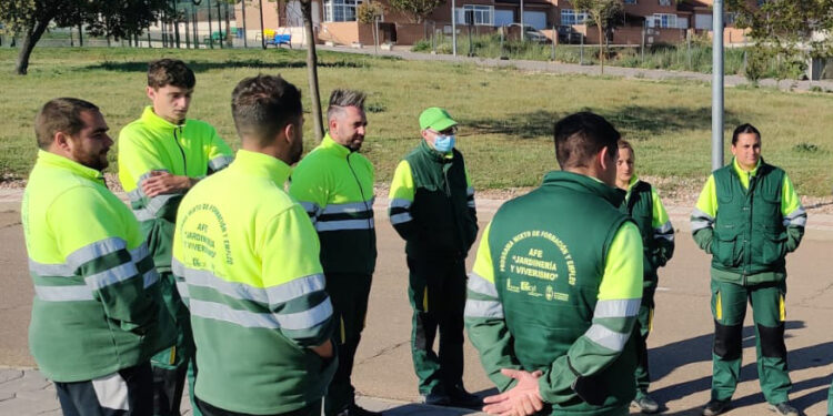 El PP de Carrascal de Barregas denuncia que el municipio pierde la Acción de Formación y Empleo por no cumplir con la puntuación mínima requerida en el proyecto