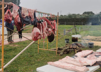 Carrascal de Barregas nombrará Matancera de Honor a la periodista salmantina Elena Martín