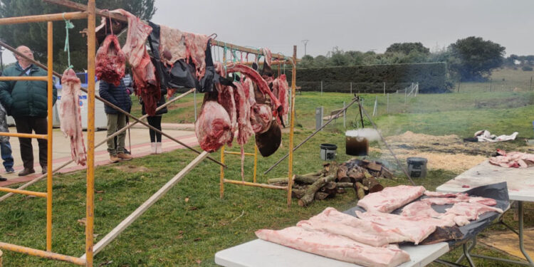 Carrascal de Barregas nombrará Matancera de Honor a la periodista salmantina Elena Martín