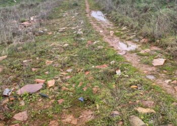 Los vecinos de Carrascal de Barregas denuncian el «lamentable estado» en el que se encuentran los caminos