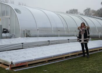 La reparación de la cúpula de la piscina climatizada de Santa Marta mejorará la instalación que utilizan cerca de 1.000 usuarios esta temporada