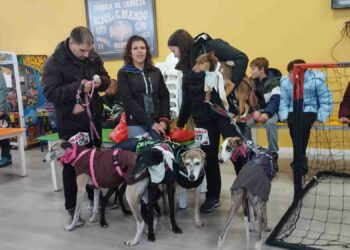 El mal tiempo no impide una buena participación en el XI Canicross de Santa Marta