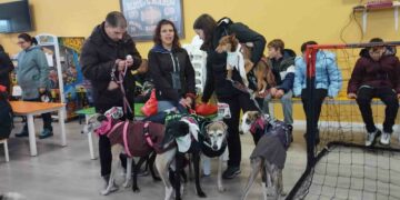 El mal tiempo no impide una buena participación en el XI Canicross de Santa Marta