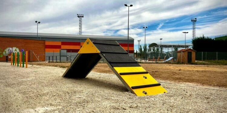 Novedosa iniciativa para conocer las necesidades y mejorar el bienestar de las mascotas del municipio