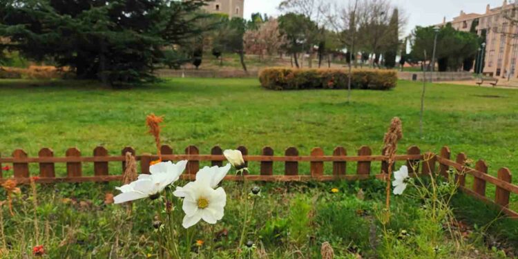 Novedoso proyecto para la cría en libertad de mariposas en ocho espacios de la ciudad