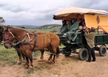 La loca aventura de recorrer el Camino de Santiago en carreta, con un piano y cámara en mano atraviesa Salamanca