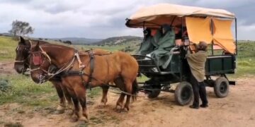 La loca aventura de recorrer el Camino de Santiago en carreta, con un piano y cámara en mano atraviesa Salamanca