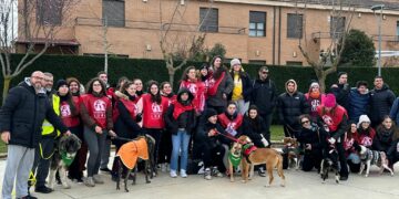 El IV Canicross Fundación Luna de Villamayor reúne a más de medio centenar de corredores