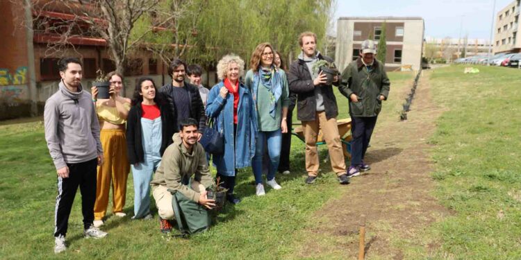 La Universidad planta 40 secuoyas para celebrar el Día Internacional de los Bosques
