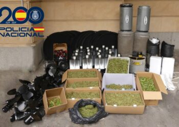 Detenidos tres hombres por el cultivo de marihuana en dos viviendas de la Avenida Saavedra y Fajardo