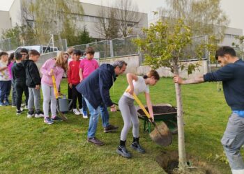 Los escolares de Villamayor concluyen las actividades ambientales por el Día del Árbol